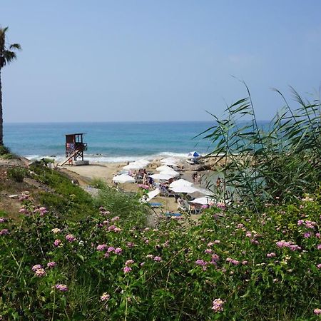 Limnaria Gardens Paphos, Near Beach ภายนอก รูปภาพ