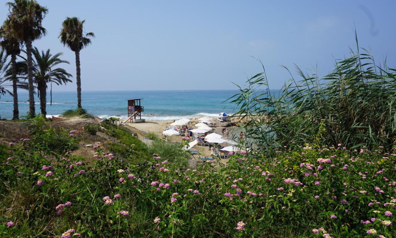Limnaria Gardens Paphos, Near Beach ภายนอก รูปภาพ